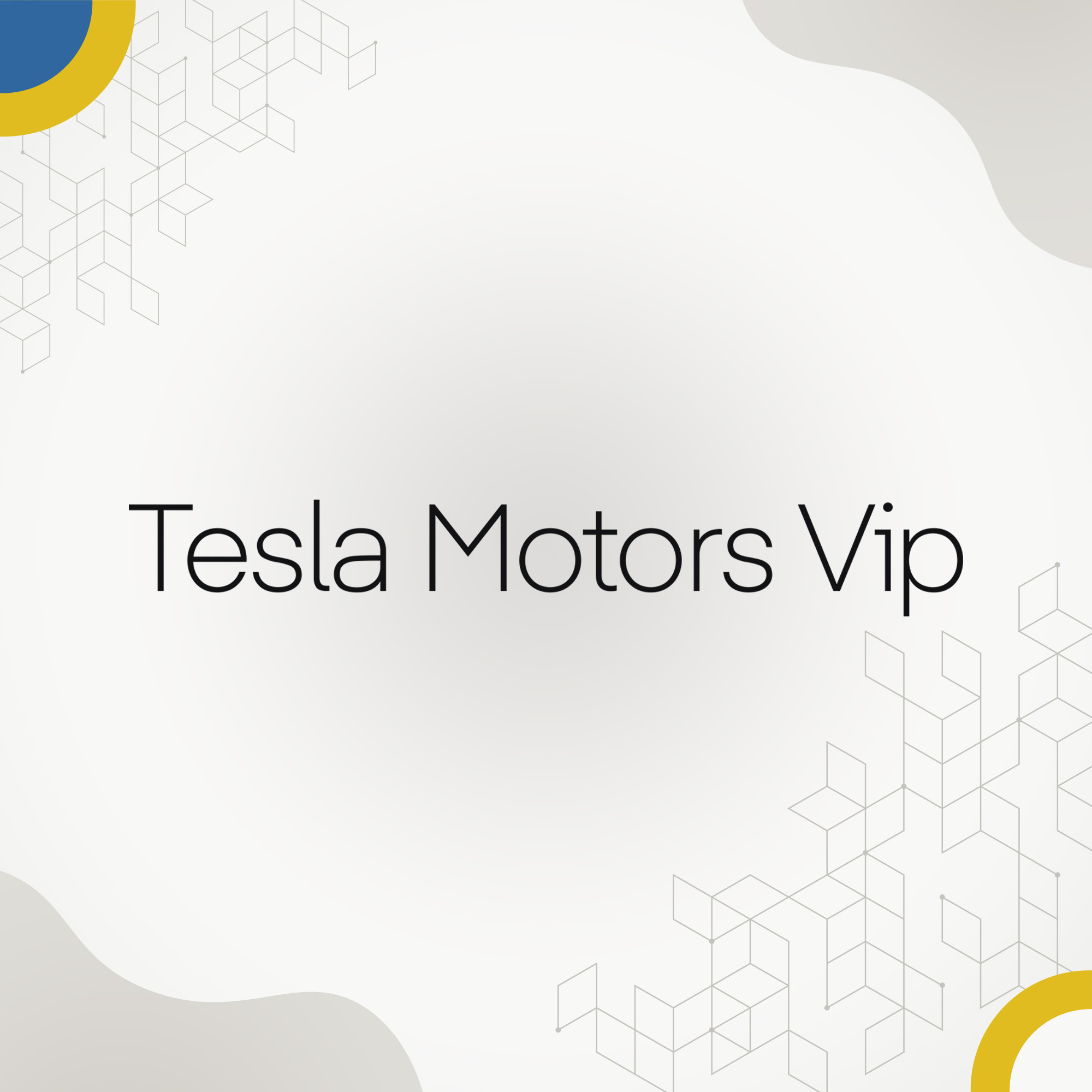 Tesla Motors VIP